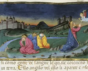 DE PREDIS, Cristoforo (1440-1486). Stories of