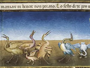DE PREDIS, Cristoforo (1440-1486). Stories of
