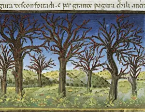 DE PREDIS, Cristoforo (1440-1486). Stories of