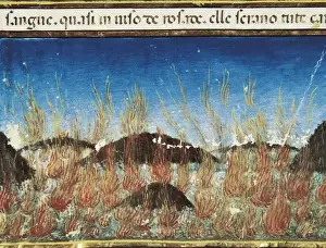 DE PREDIS, Cristoforo (1440-1486). Stories of