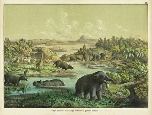 Prehistoric landscape during the Tertiary Era, Europe