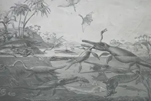 Pre History Prints: Prehistoric landscape with various creatures