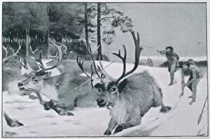 10000 Collection: Prehistoric reindeer hunt