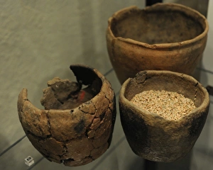 Images Dated 10th February 2013: Prehistory. Finland. Pottery of the Iron Age