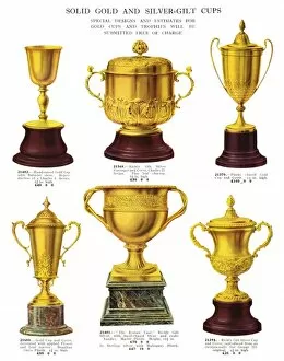 Images Dated 18th May 2011: Presentation Cups