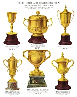 Images Dated 18th May 2011: Presentation Cups