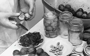 Preserving Plums