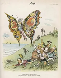 Presidential Butterfly