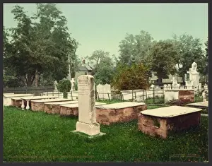 Presidents Prints: Presidents row, old Princeton burying ground