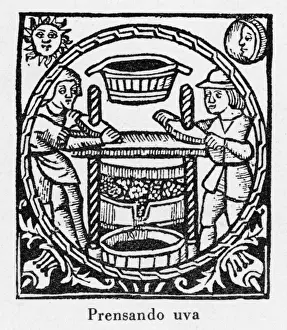 Presses Prints: Pressing Grapes 1511