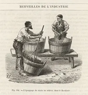 Spokes Prints: Pressing Grapes by Hand