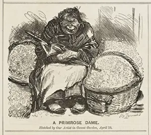 Sketched Prints: Pretty Flower Girl / 1886