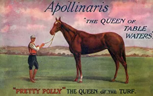 Images Dated 12th March 2019: Pretty Polly - Queen of the Turf - sponsored by Apollinaris