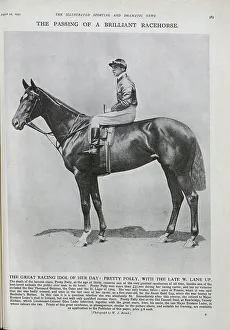 Horseracing Prints: Pretty Polly, Racehorse