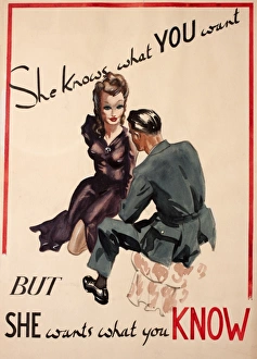 Knowing Collection: Prevent revealing sensitive information to the enemy spies