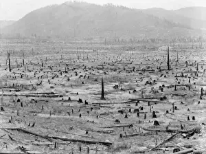 Grow Prints: Priest River Valley, where many settlers grow hay between th