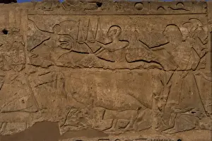 Ninettenth Prints: Priest wearing offerings in a tray and bull being led to sac