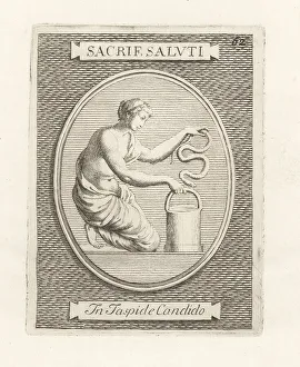 Ridolfino Venuti Prints: Priestess making a sacrifice to health and hygiene