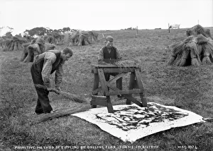 Method Prints: Primitive Method of Rippling Or Bolling Flax, Toome, Co. Ant