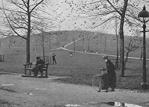 Parks Prints: Primrose Hill