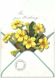 Images Dated 16th November 2015: Primroses in an envelope on a birthday card