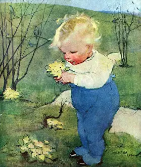 Posy Prints: Primroses by Muriel Dawson