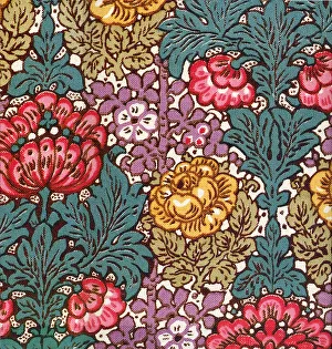 Flowering Gallery: Primula Floral Date: 1911