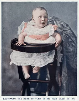 Images Dated 25th September 2017: Prince Albert in high chair
