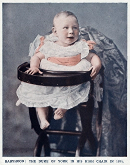 Images Dated 25th September 2017: Prince Albert in high chair