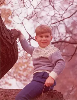 Boyhood Prints: Prince Andrew