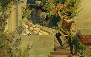 The Prince awakens Sleeping Beauty