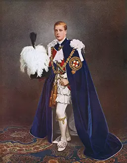 Carpet Prints: Prince Edward of Wales as Knight of the Garter