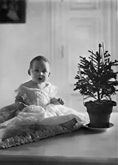 Prince Ernst August, Duke of Brunswick