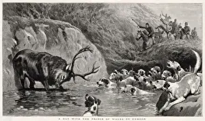 Prince of Wales (later Edward VII) in Exmoor, England. 1879