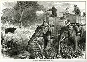 Images Dated 20th January 2017: Prince of Wales in Nepal Terai, shooting bears 1876