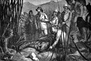 Edward VII Shooting