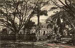 Palms Collection: Princes Club, Colombo, Ceylon (Sri Lanka)