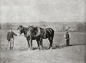 Farmland Prints: Princess Alice Orphanage, Sutton Coldfield - Farm Boys