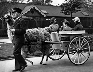 Images Dated 6th April 2016: Princess Elizabeth, Princess Margaret at the zoo