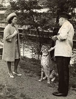 Images Dated 25th July 2017: Princess Margaret meeting a Cheetah and Zoo Keeper