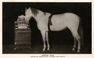 Cash Prints: Princess Trixie the Highly Educated Horse