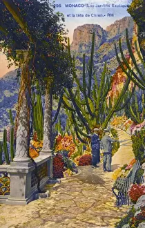 Hillside Prints: Principality of Monaco (Monte Carlo) - Botanical Gardens