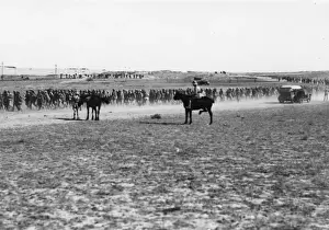 Prisoners captured by Australian troops near Gaza, WW1