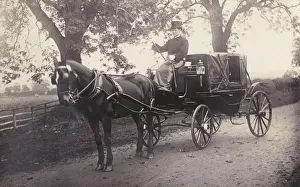 Private Carriage Photo