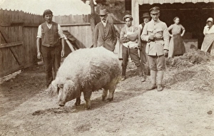 Farmer and Pig