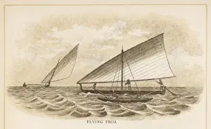 Proa of Pacific Islands
