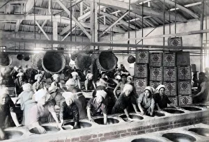 Processing tea, Japan, c. 1880 s