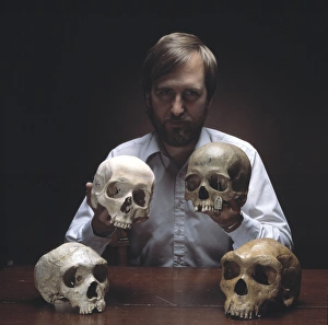 Professor Chris Stringer with four hominid skulls Professor Chris Stringer with four hominid skulls