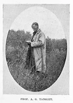 Professor Sir Arthur Tansley (1871-1955)