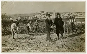 Vineyard Prints: Professors T Child dowsing for Water, Pemfega, Portugal